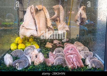 Museau de porc, l'alimentation de rue traditionnels à Naples Banque D'Images