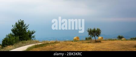 Collines des Marches au printemps. champs d'agriculture. Paysage rural. Italie Banque D'Images