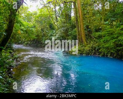 Rio Celeste, parc national du volcan Tenorio, Costa Rica Banque D'Images