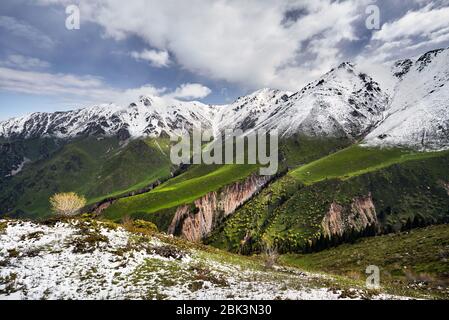 Sommet de montagne avec de la neige et de la forêt verte contre blue cloudy sky Banque D'Images