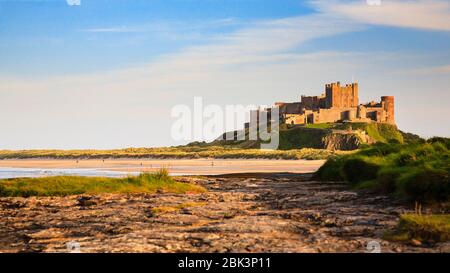 Château de Bamburgh en face de Harkess Rocks, Northumberland, Angleterre Banque D'Images