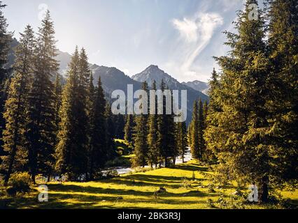 Paysage de rivière et de la vallée de montagne avec sapins et pic enneigé à Karakol national park, le Kirghizistan Banque D'Images