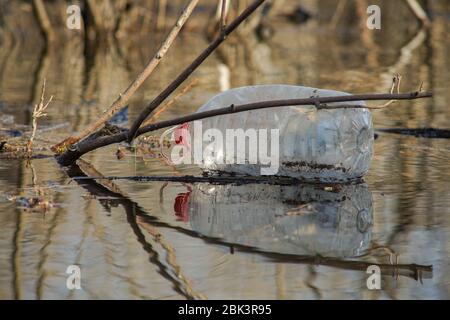 Bouteille en plastique dans le Danube, Serbie. Banque D'Images