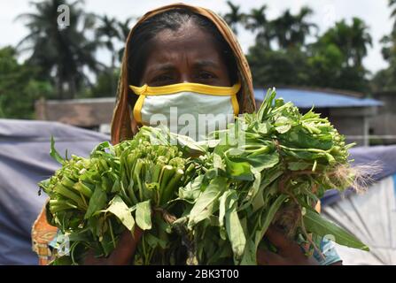 Kolkata, Inde. 01 mai 2020. Aujourd'hui, c'est la Journée internationale des travailleurs, mais en raison de la fermeture, tout le monde est à la maison et de nombreux secteurs de travail sont arrêtés maintenant. Mais il y a beaucoup de gens dans notre société, qui sont occupés de différentes façons dans cette situation difficile. Ils sont impliqués dans les services essentiels et il y a certaines personnes, s'ils ne travaillent pas leur vie devient incertaine. Cette année, nos souhaits sont pour eux. (Photo de Sudipta Das/Pacific Press) crédit: Agence de presse du Pacifique/Alay Live News Banque D'Images