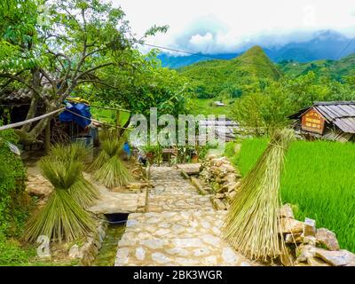 Catcat Hmong village près de Sapa (Chapaa) dans les montagnes nord du Vietnam, Lào Cai, Vietnam Banque D'Images