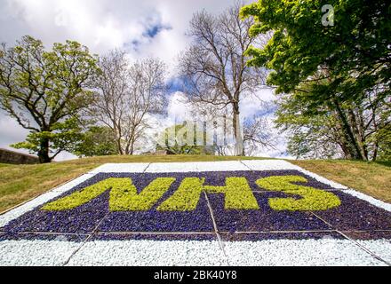 Lisburn, Irlande du Nord. 1 mai 2020. Lisburn & Castlereagh City Council planter trois parterres de fleurs en reconnaissance du dévouement sans faille de notre personnel de santé lorsqu'ils travaillent pour sauver des vies pendant la pandémie de coronavirus. La première est située dans les jardins du Château, Lisburn et est visible depuis Queen's Road. Les deux autres seront en place la semaine prochaine au parc Moat, Dundonald, en face de l'hôpital Ulster et au rond-point Hillsborough sur l'A1. Crédit: Steven McAuley/Alay Live News Banque D'Images