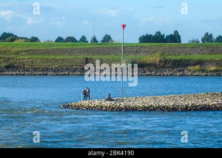 Pêche sur le rivage de la rivière Waal à la fin de l'automne, Waal River, près d'Ewijk, Gueldre, Pays-Bas Banque D'Images