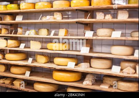 Fromage néerlandais traditionnel en vente dans une boutique d'Amsterdam aux Pays-Bas. Les Pays-Bas produisent une variété de tentants durs ou semi-durs c Banque D'Images