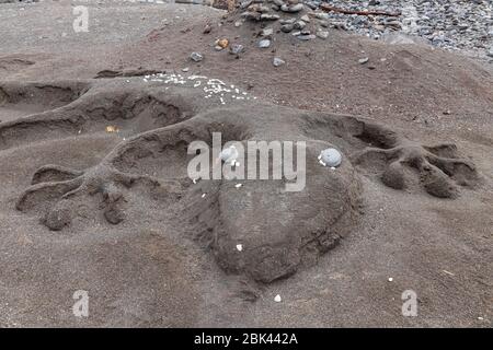 La sculpture sur lézard de sable reste lavée sur la plage vide dans les zones touristiques de Costa Adeje, Tenerife, îles Canaries, Espagne Banque D'Images