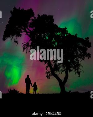 Silhouette d'un homme tenant la main de sa fille en profitant des lumières du nord sous un arbre dans le ciel nocturne Banque D'Images