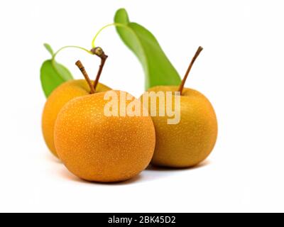 Poires nashi, Pyrus pyrifolia, isolées sur fond blanc Banque D'Images