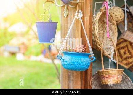 Crasula et Sedum plantes succulentes. Idées de semoir réutilisées. Une ancienne casserole bleue se transforme en pot de fleurs de jardin. Style rustique rétro. Jardin recyclé et style de vie peu gaspillent. Banque D'Images