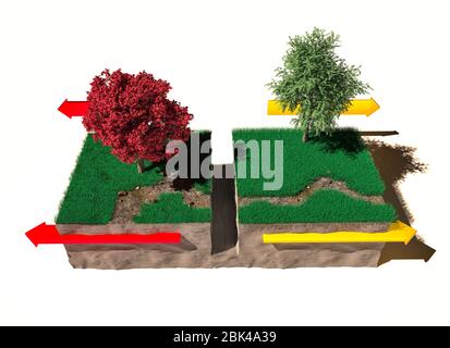 Différents types de limites de plaques : limites divergentes, section de terrain, rendu tridimensionnel. Plaques tectoniques, marge de glissement latérale, tremblement de terre Banque D'Images