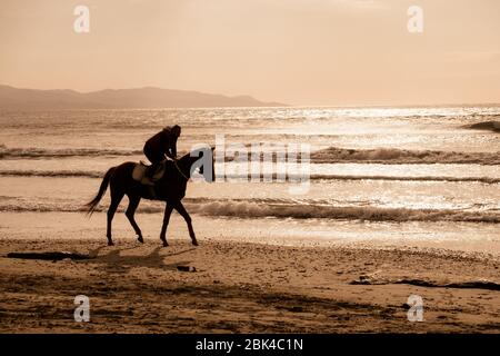 Ayia Eirini, Chypre - 24 mars, 2019 : Man riding marron sur un cheval au galop sur la plage d'Ayia Erini à Chypre contre une mer rugueuse Banque D'Images