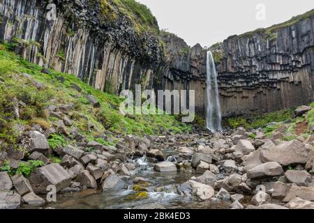 La Svartifoss (noir) cascade Falls, le parc national du Vatnajökull, le sud de l'Islande. Banque D'Images