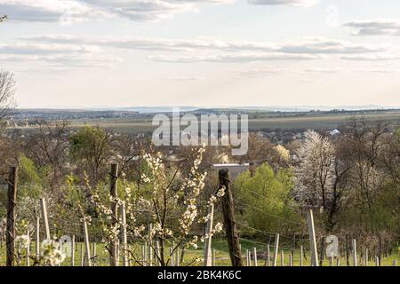 Vue rurale idyllique des terres agricoles et villages patchwork doucement vallonnés aux frontières boisées Banque D'Images