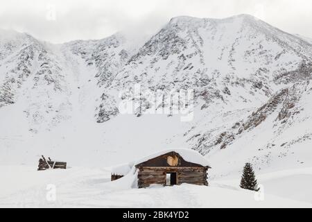 Ruines de la cabane en rondins de la mine Boston à Mayflower Gulch, Tenmile Range, Colorado. Banque D'Images