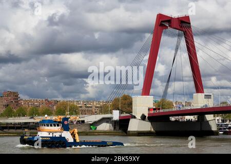 Pont Willems, Maas River, Rotterdam, Hollande-Méridionale, Pays-Bas, Europe Banque D'Images