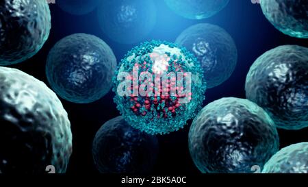 Illustration des anticorps (bleus) se fixant à une cellule infectée par le coronavirus (rouges). Les anticorps se lient à des antigènes spécifiques, par exemple des protéines virales affichées à la surface des cellules infectées, les marquant pour leur destruction par les cellules immunitaires des phagocytes. Banque D'Images