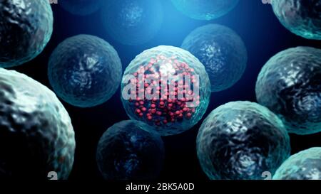 Illustration d'une cellule infectée par le coronavirus (rouge) (centre). Les coronavirus causent des infections des voies respiratoires chez les humains et sont liés aux rhumes, aux pneumonies et au SRAS. Le COV-SRAS-2 est une souche particulièrement virulente qui a vu le jour à Wuhan, en Chine, à la fin de 2019. Ce virus provoque une maladie respiratoire bénigne (Covid-19) qui peut se développer en pneumonie et être mortelle dans certains cas. Banque D'Images