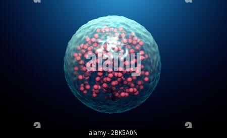 Illustration d'une cellule infectée par le coronavirus (rouge). Les coronavirus causent des infections des voies respiratoires chez les humains et sont liés aux rhumes, aux pneumonies et au SRAS. Le COV-SRAS-2 est une souche particulièrement virulente qui a vu le jour à Wuhan, en Chine, à la fin de 2019. Ce virus provoque une maladie respiratoire bénigne (Covid-19) qui peut se développer en pneumonie et être mortelle dans certains cas. Banque D'Images