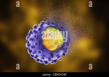 Éradication du coronavirus covid-19, illustration conceptuelle. Le nouveau coronavirus SRAS-CoV-2 (auparavant 2019-CoV) a vu le jour à Wuhan, en Chine, en décembre 2019. Le virus cause une maladie respiratoire légère (Covid-19) qui peut se développer en pneumonie et être mortelle dans certains cas. Les coronavirus prennent leur nom de leur couronne (couronne) de protéines de pointe de surface (grandes protusions), qui sont utilisées pour attacher et pénétrer leurs cellules hôtes. Banque D'Images