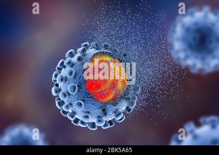 Éradication du coronavirus covid-19, illustration conceptuelle. Le nouveau coronavirus SRAS-CoV-2 (auparavant 2019-CoV) a vu le jour à Wuhan, en Chine, en décembre 2019. Le virus cause une maladie respiratoire légère (Covid-19) qui peut se développer en pneumonie et être mortelle dans certains cas. Les coronavirus prennent leur nom de leur couronne (couronne) de protéines de pointe de surface (grandes protusions), qui sont utilisées pour attacher et pénétrer leurs cellules hôtes. Banque D'Images