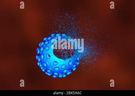 Éradication du coronavirus covid-19, illustration conceptuelle. Le nouveau coronavirus SRAS-CoV-2 (auparavant 2019-CoV) a vu le jour à Wuhan, en Chine, en décembre 2019. Le virus cause une maladie respiratoire légère (Covid-19) qui peut se développer en pneumonie et être mortelle dans certains cas. Les coronavirus prennent leur nom de leur couronne (couronne) de protéines de pointe de surface (grandes protusions), qui sont utilisées pour attacher et pénétrer leurs cellules hôtes. Banque D'Images