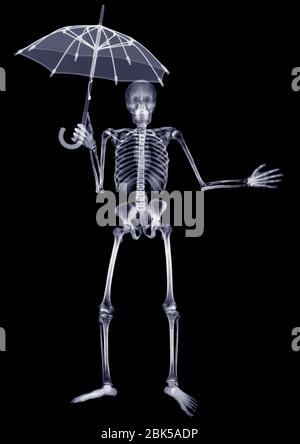 Squelette tenant un parapluie ouvert au-dessus de lui, rayons X. Banque D'Images