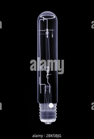 Ampoule longue, rayons X. Banque D'Images