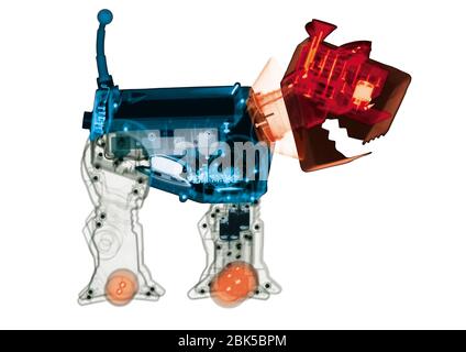 Chien jouet électronique, radiographie colorée. Banque D'Images