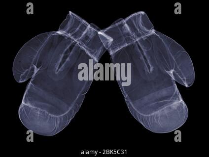 Paire de gants de boxe, rayons X. Banque D'Images