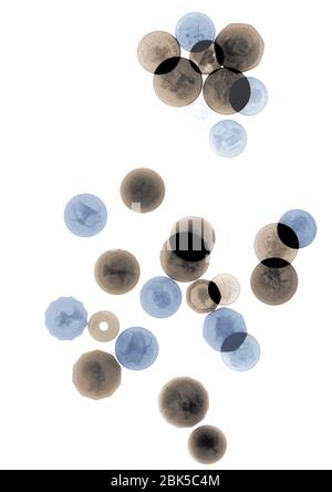 Pièces assorties, rayons X colorés. Banque D'Images