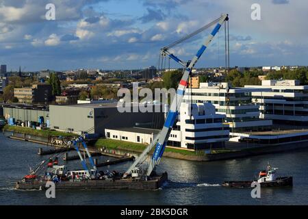 Grue flottante, Port de Rotterdam, Hollande-Méridionale, Pays-Bas, Europe Banque D'Images