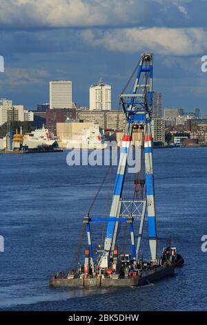 Grue flottante, Port de Rotterdam, Hollande-Méridionale, Pays-Bas, Europe Banque D'Images