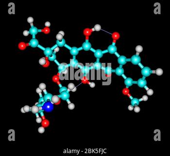 La doxorubicine (Adriamycine), également connue sous le nom d'hydroxydaunorubicine, est un médicament utilisé dans la chimiothérapie anticancéreuse et dérivé par la semi-synthèse chimique d'une bactérie Banque D'Images