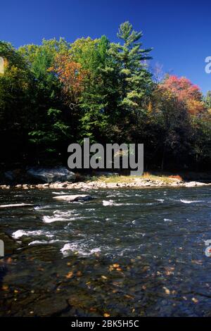 Clarion Wild et Scenic River, parc national de Cook Forest, Pennsylvanie Banque D'Images