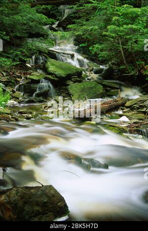 Dans Ganoga Cascade Ruisseau Cuisine, Glen Ricketts Glen State Park, New York Banque D'Images