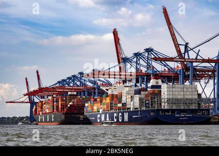 Grues portuaires dans les navires de conteneurs de déchargement du port de Hambourg, Burchardkai, Hambourg, Allemagne Banque D'Images