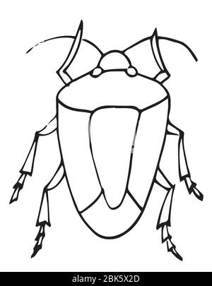 Vecteur de contour d'insecte, page de coloriage pour les enfants. Dessin à la main style doiche, icône isolée Illustration de Vecteur