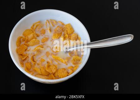 Céréales au lait dans un bol isolé sur fond noir gris, une délicieuse céréale diététique pour le petit déjeuner. Vue de dessus. Banque D'Images