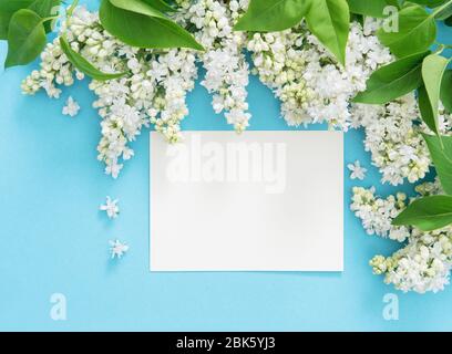 Fleurs lilas avec carte de voeux vide sur fond bleu Banque D'Images