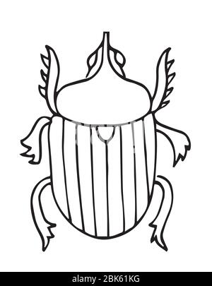 Bug, vecteur de contour d'insecte, icône. Page de coloriage pour les enfants. Collection de bugs exotiques.style de gribouille dessiné à la main,isolé Illustration de Vecteur