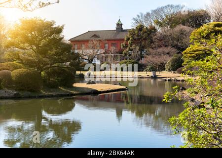 tokyo, japon - 20 mars 2020: L'étang du jardin japonais des jardins botaniques de Koishikawa avec la maison de maître en brique rouge de l'annexe de Koishikawa Banque D'Images