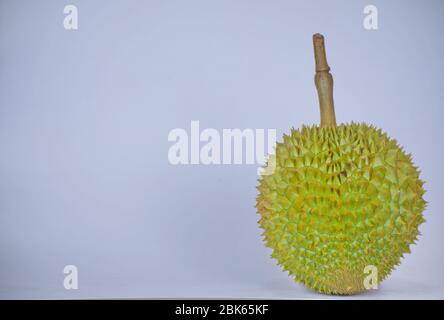 Durian. Le fruit est sucré et a une odeur piquante. Sur fond blanc. Banque D'Images