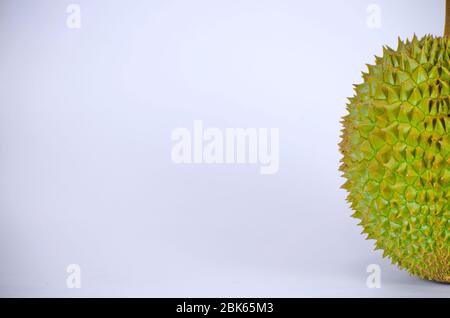 Durian. Le fruit est sucré et a une odeur piquante. Sur fond blanc. Banque D'Images