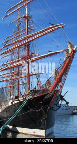 SEDOV, navire de course russe Banque D'Images