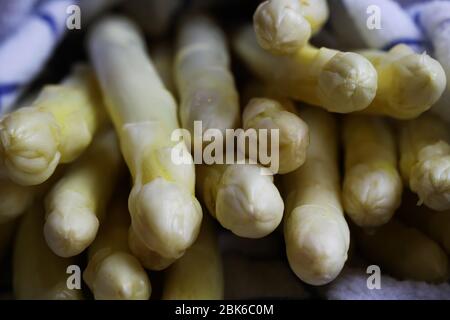 Macro fermeture des lèvres d'asperges fraîches brutes de groupe enveloppées dans une serviette humide Banque D'Images