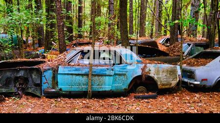 Vieille Mustang en bois Banque D'Images