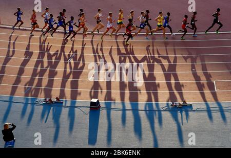 Jeux du Commonwealth de Glasgow 2014. Athlétisme, parc Hampden. Finale de 10 000 m pour Homme. Les coureurs jettent de longues ombres pendant la course. Banque D'Images